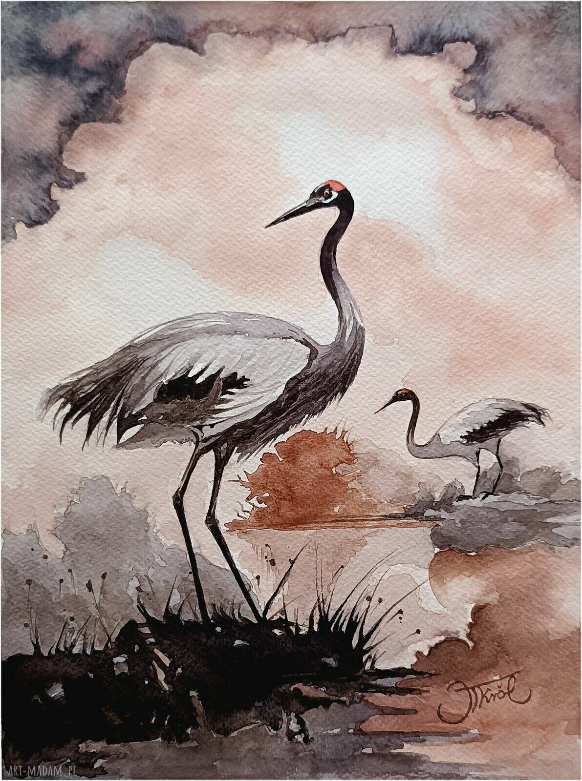 Żurawi rytuał - oryginalna akwarela 23x31 cm ręcznie malowana