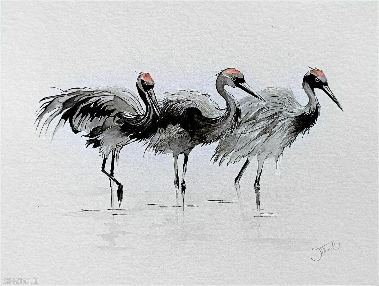 Oryginalna akwarela „Żurawie” 24x32 cm - ptaki w akwarelowym stylu