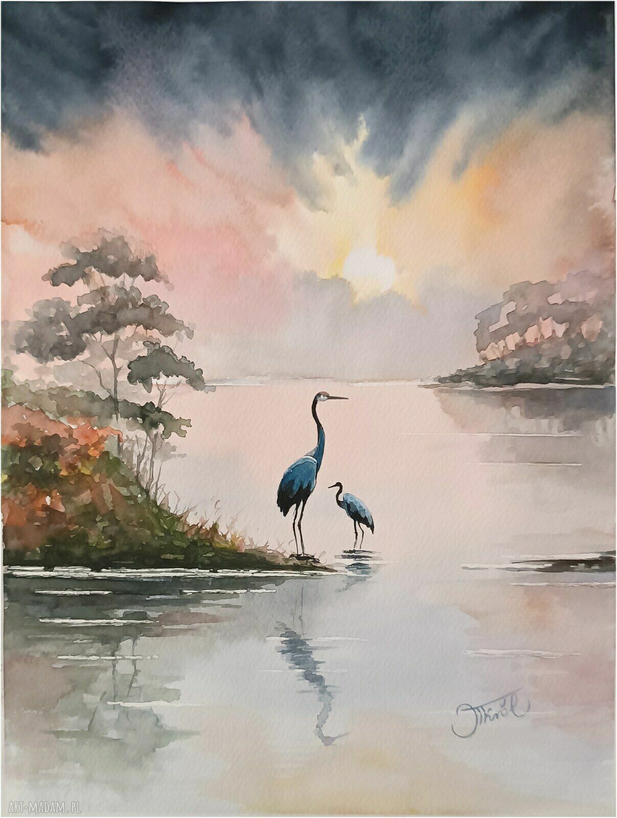 Żurawie o poranku, Akwarela 24x32 cm