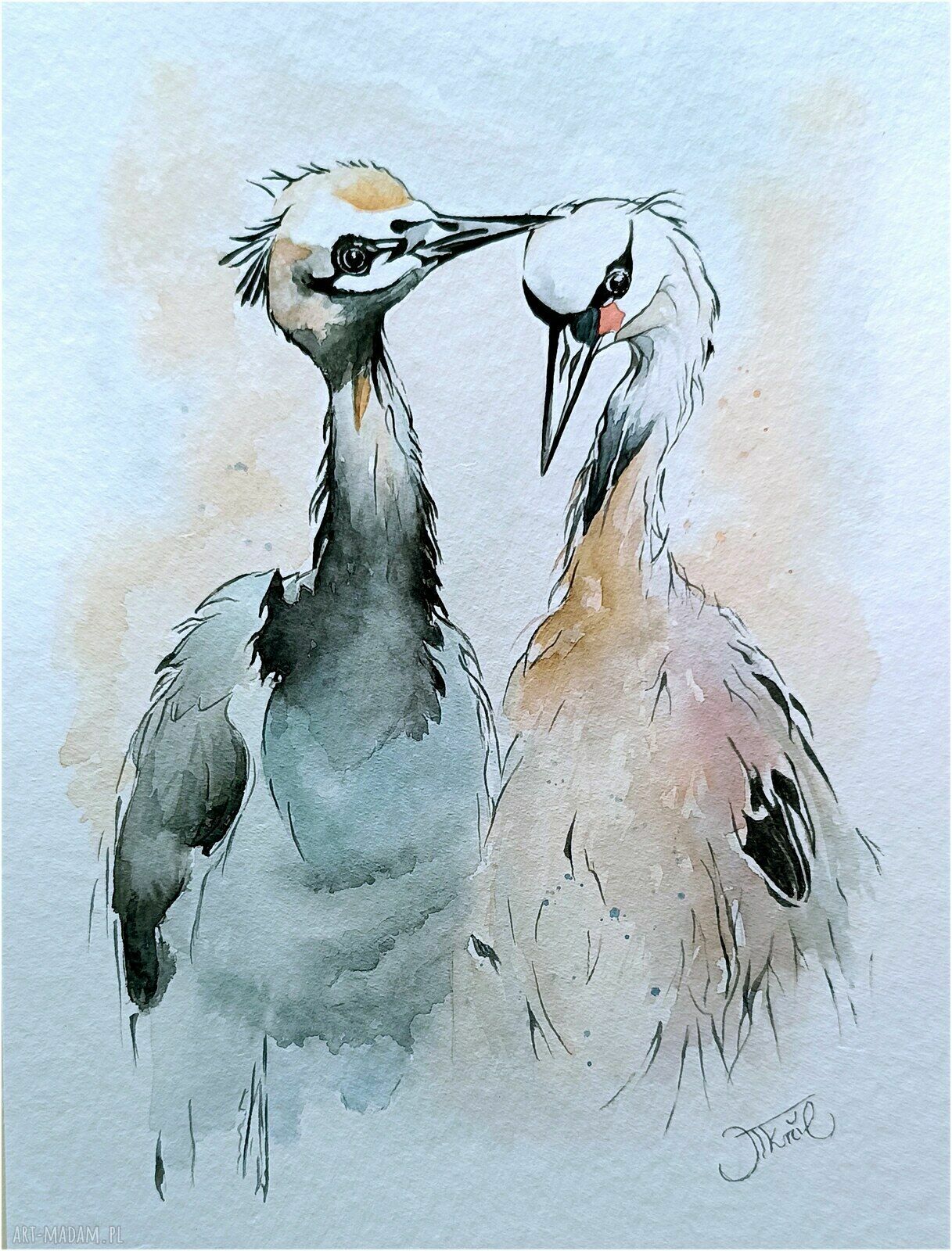 Żurawie Rodzinne ścieżki - akwarela 24x32 cm oryginał