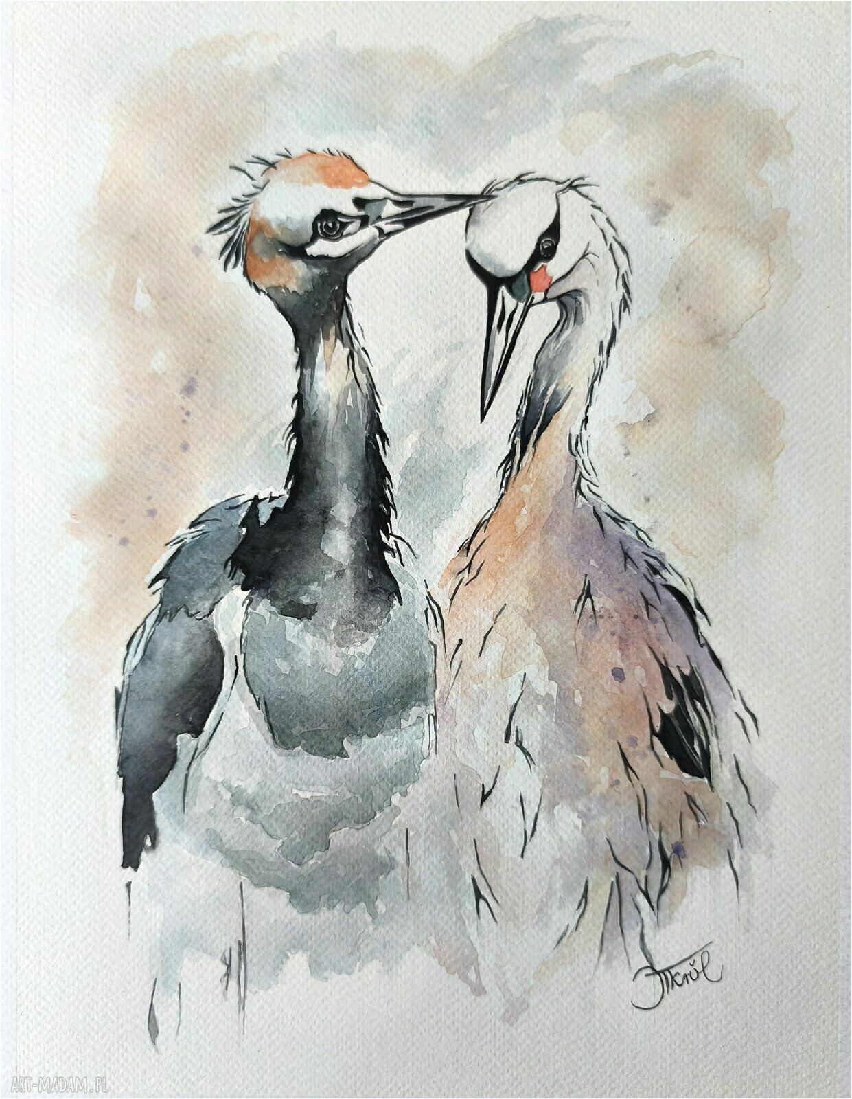 Żurawie - oryginalna akwarela 24 x 32 cm