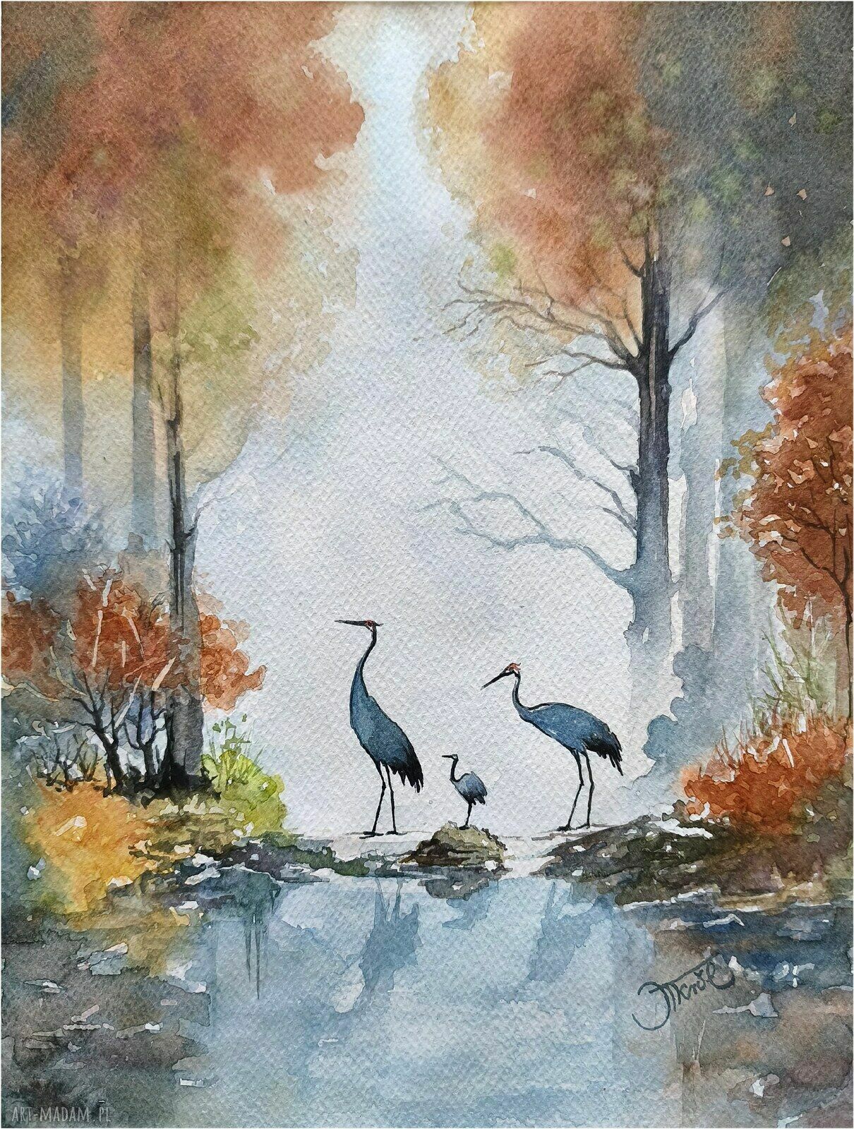 Żurawie w porannej mgle - oryginalna akwarela 24x32 cm