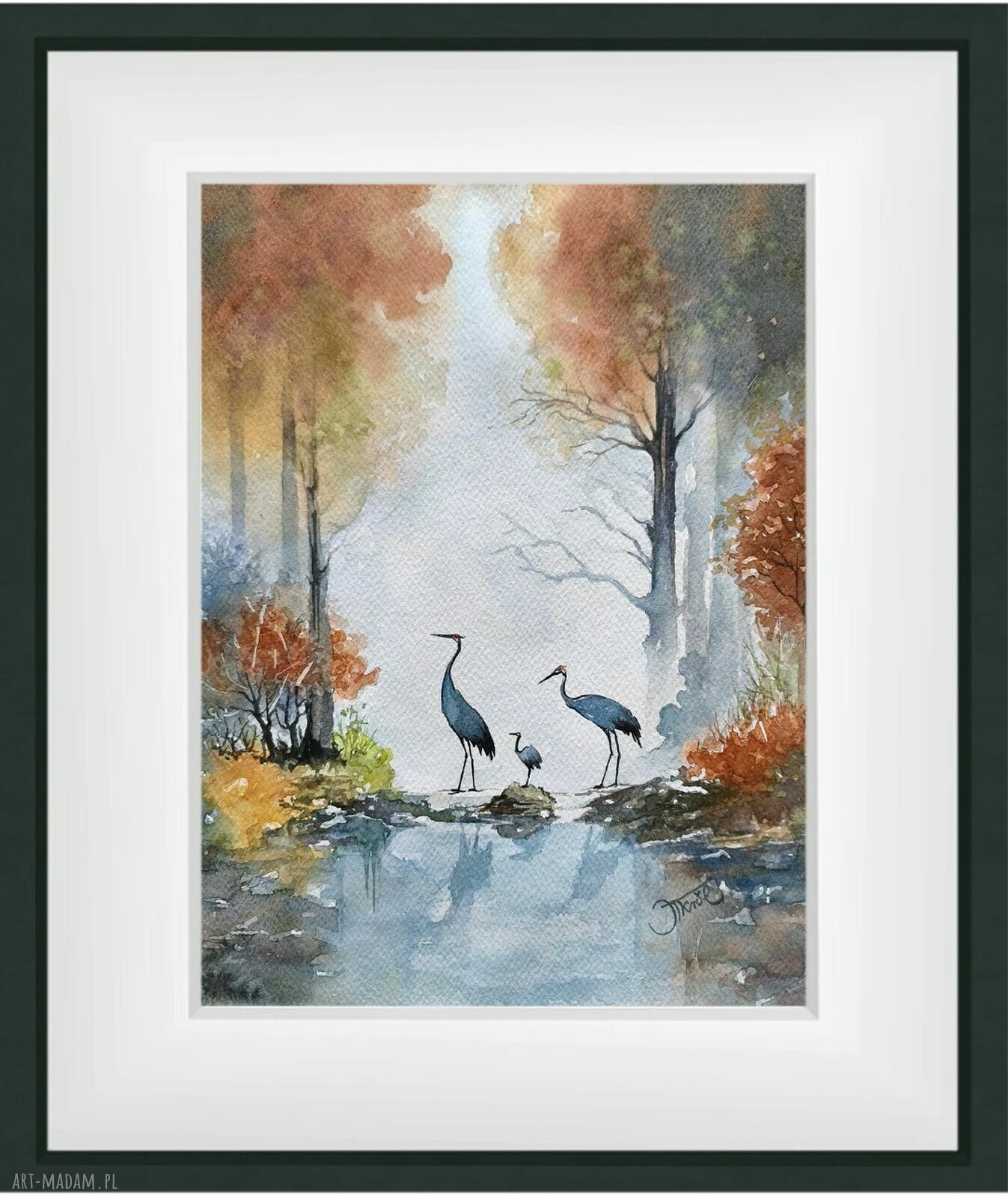Żurawie w porannej mgle - oryginalna akwarela 24x32 cm