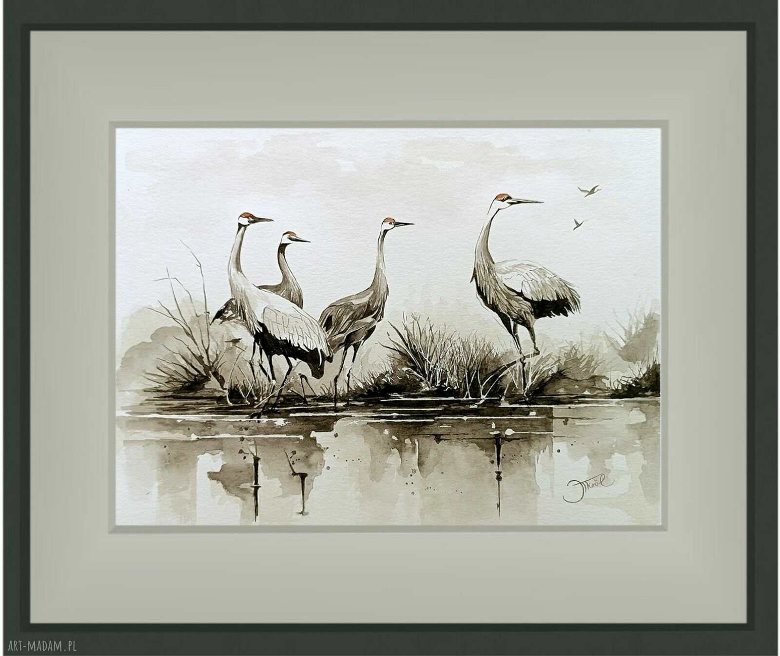 Żurawie z królestwa wiatru - akwarela 24x32 cm (oryginał)