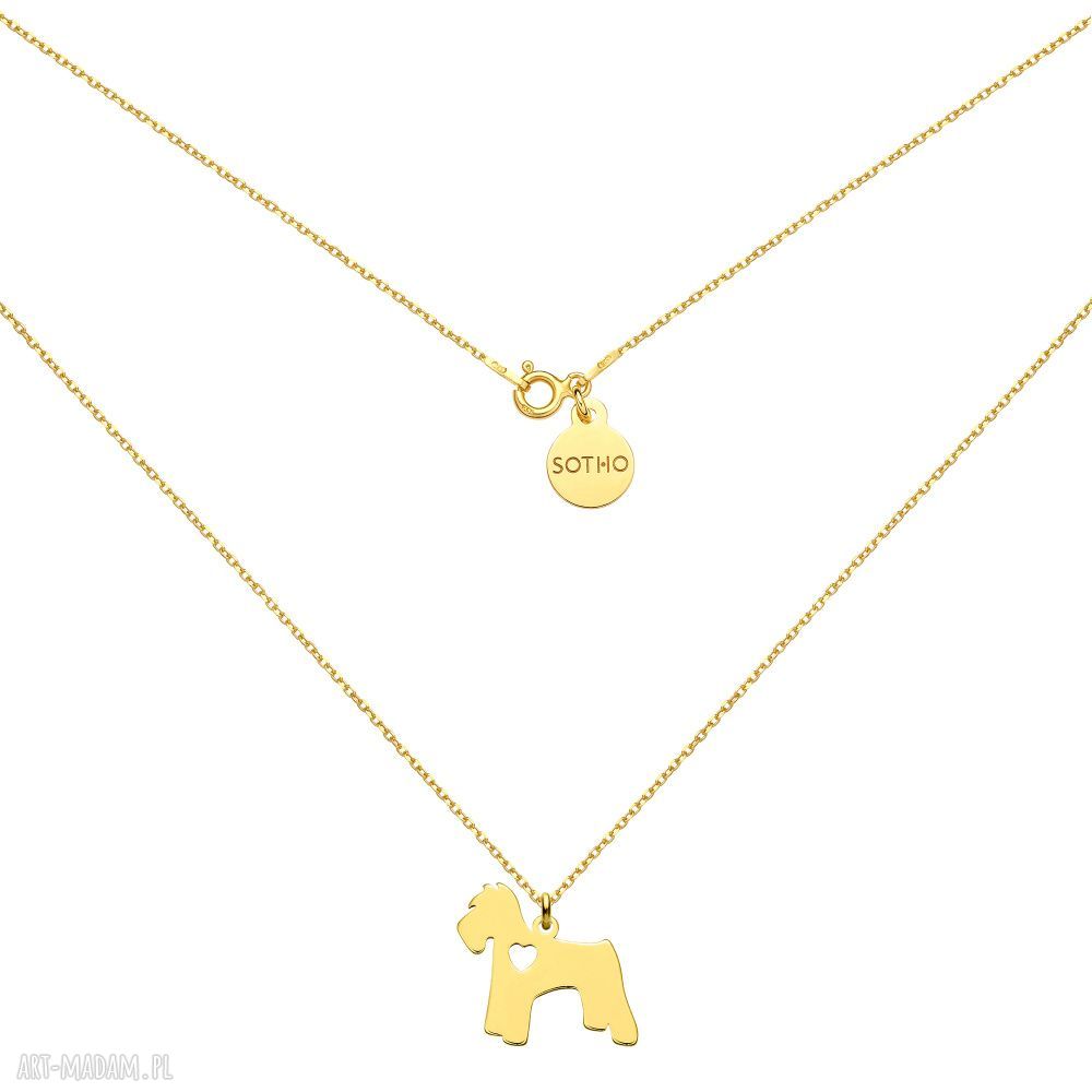 Złoty naszyjnik psem sznaucer pies rasa zwierzak pupil