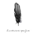 Zamówienie specjalne - Pan Wilk