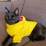 beagle zwierzaki energetyczna żółta bluza dla psa lub kota pekińczyk york