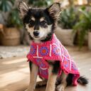 Sweter poncho dla małego psa - ręcznie szydełkowane ubranko w kwiaty