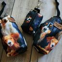 Zestaw spacerowy dla psa - saszetka na smaczki i woreczki Rhodesian Appenzeller Golden