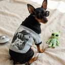 Psi Ufolog - sweterek dla psa od Foxy Knit Uwaga! Kontakt z obcą cywilizacją został