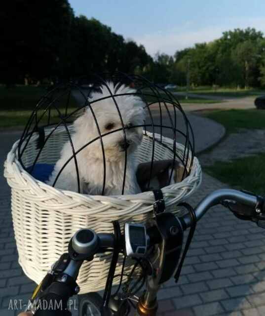 Duży kosz na rower biały dla psa