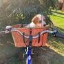 na rower dla psa w kolorze naturalnym - kosz wiklinowy rowerowy maltanczyk