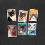 koty w akwareli - zestaw 6 w rozmiarze 13x18 cm zwierzaki grafiki