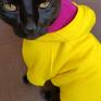 Energetyczna żółta bluza dla psa lub kota XXS XXL - handmade pekińczyk