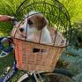 maltańczyk wiklinowy kosz na rower dla psa w kolorze naturalnym zwierzaki transporter